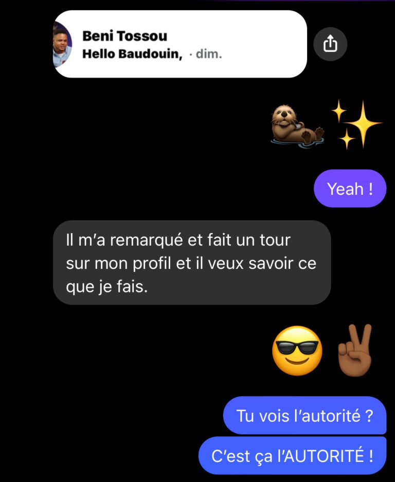 Conversation Messenger : « Il m'a remarqué et fait un tour sur mon profil et il veut savoir ce que je fais. »